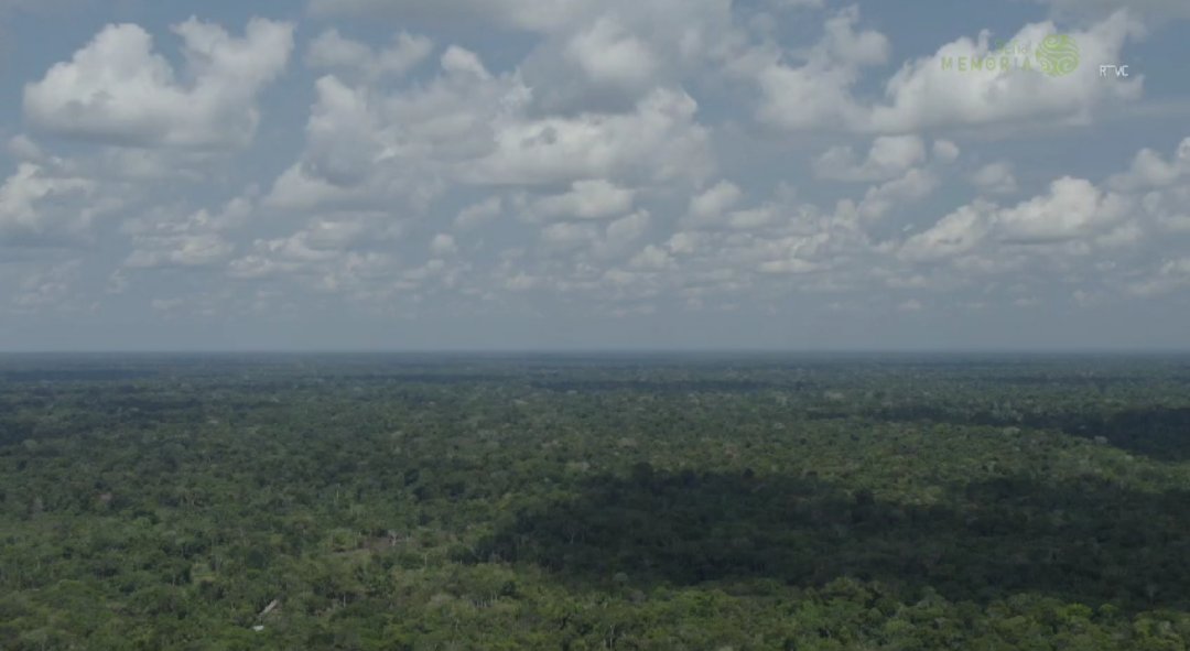 Esto es Voces del Amazonas, un podcast de @SenalMemoria en cuatro episodios.

1️⃣ Narrar la selva. open.spotify.com/episode/4nkEOz…
2️⃣ Hablar la selva. open.spotify.com/episode/4rZNIC…
3️⃣ Habitar la selva. open.spotify.com/episode/11gp6u…
4️⃣ Recuperar la selva. open.spotify.com/episode/4afosj…
