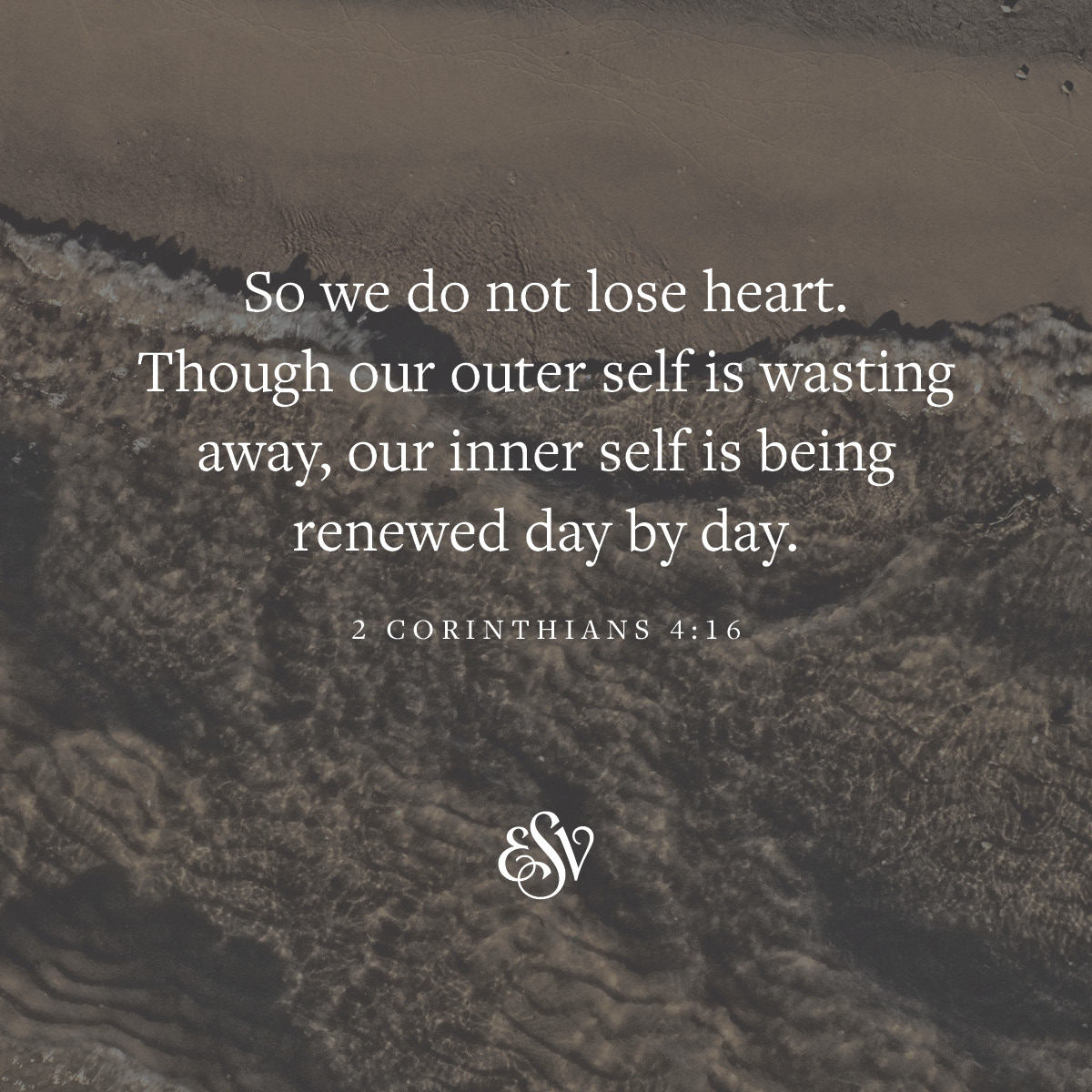 So we do not lose heart. Though our outer self is wasting away, our inner self is being renewed day by day. 
—2 Corinthians 4:16 ESV.org

#Verseoftheday #ESV #Scripturememoryverse #Bible