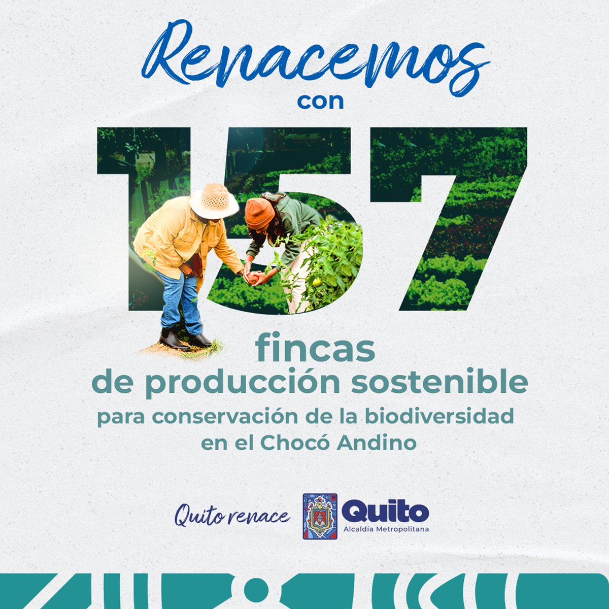 🫶👪 #365DíasContigo | Fortalecemos la producción sostenible con 157 fincas en el Chocó Andino para la conservación de la biodiversidad. #QuitoRenace