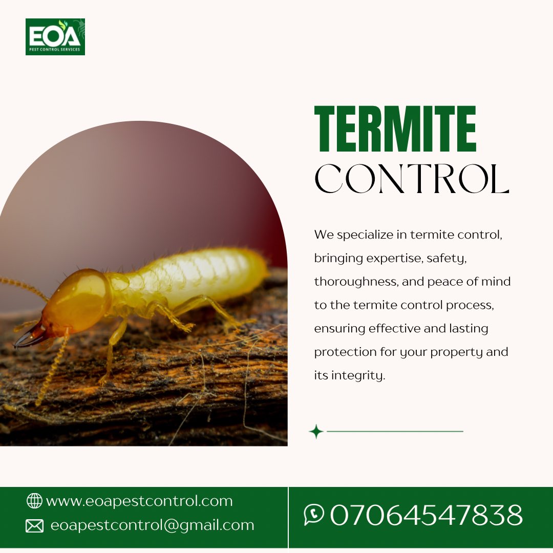 Are termites threatening the integrity of your properties? You can trust us for your termite control!

#termites #termitecontrol #pestcontrol