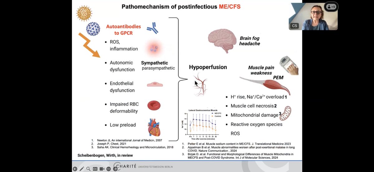 I was able to watch Prof Scheibenbogen’s terrific talk on ME/CFS just now via #UniteToFight Sadly, I’m not able to continue listening to others but I am glad I caught this one. If medical professionals could watch one talk on ME I’d want it to be this one #MedEd