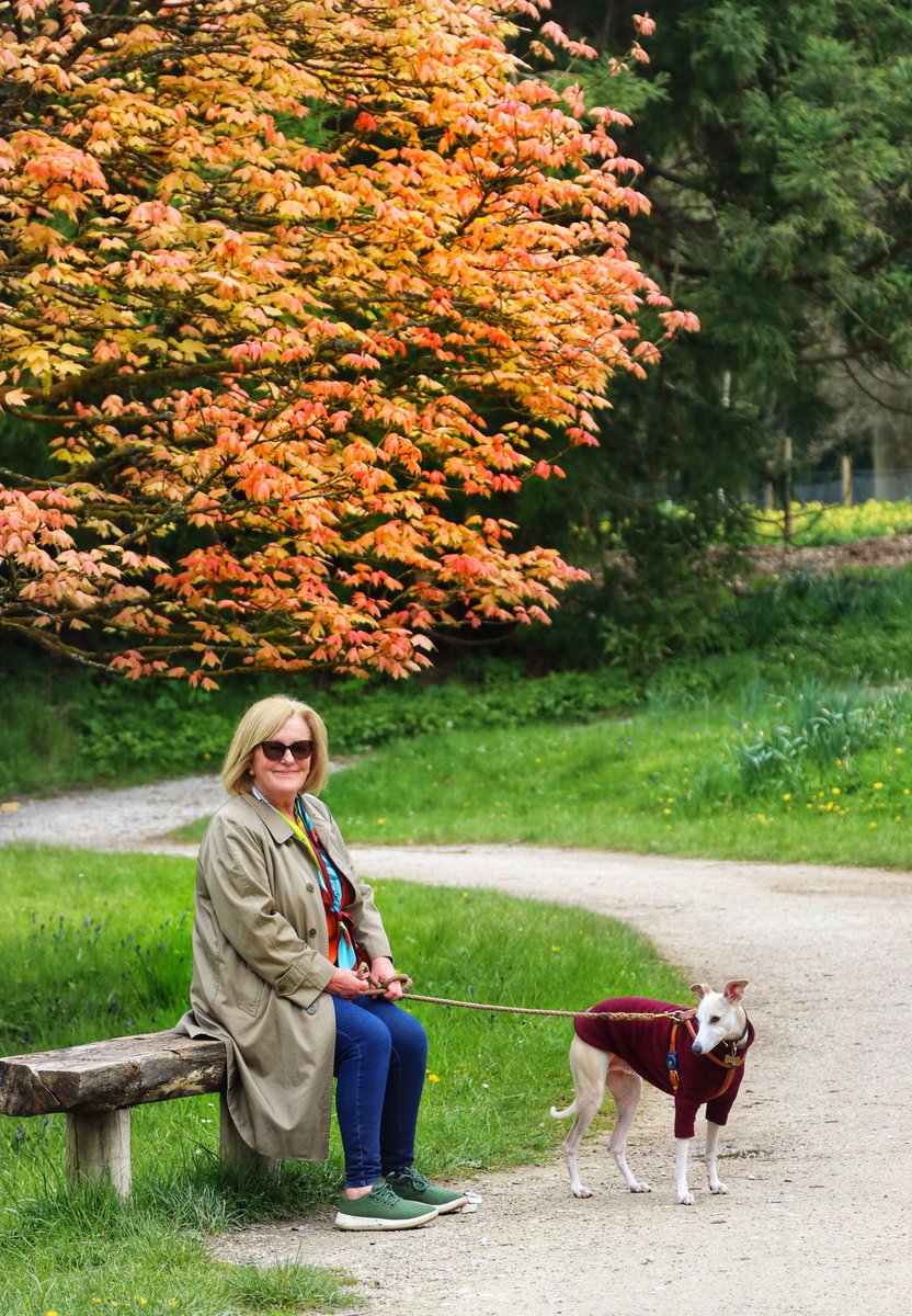 Janet and @Benvolio_Dog loving their walk around @ChatsworthHouse gardens. #BenchLove.