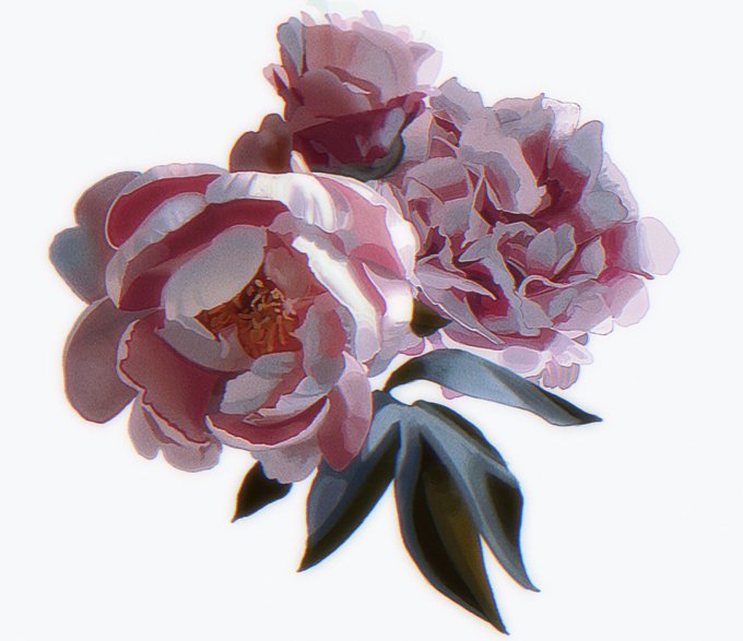 「pink flower red flower」 illustration images(Latest)