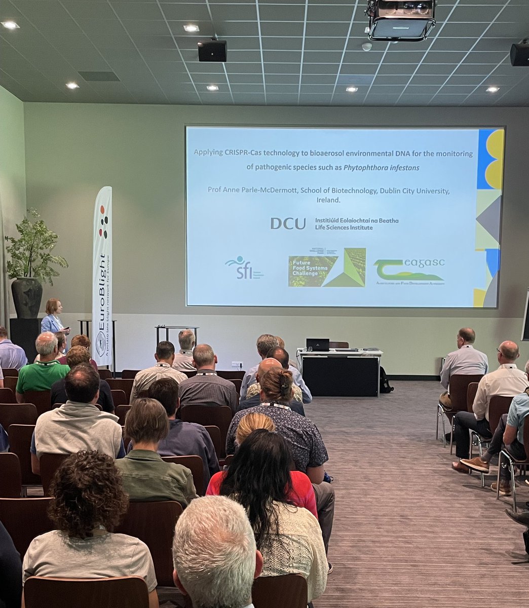 Anne Parle-Mcdermott tweet media