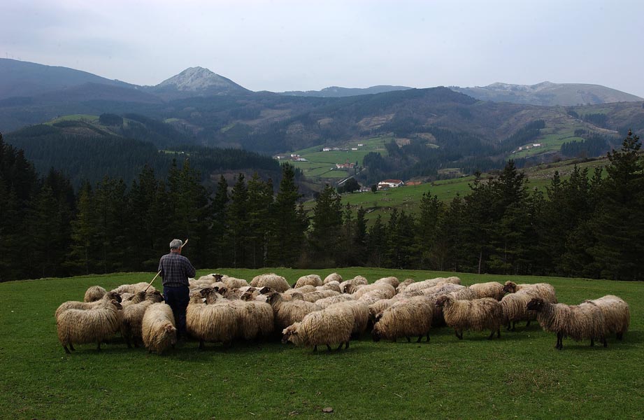 👩‍🌾🚜 Felicitamos a agricultores y agricultoras y les mostramos nuestro reconocimiento hoy por San Isidro. Euskadi no sería igual sin un sector agrario de calidad que contribuye a mantener el territorio. El compromiso de la sociedad es esencial para mantener el sector. ZORIONAK❗️