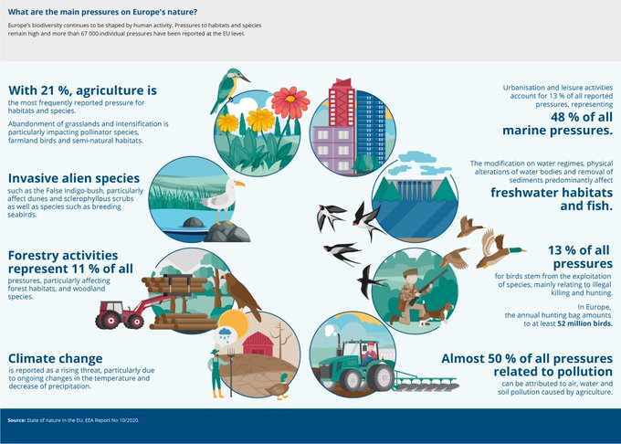 Europe’s biodiversity continues to be shaped by human activity. Pressures on habitats and species remain high and are expected to impact habitat and ecosystem conditions🌿🦜 What are the main pressures on nature in Europe? Find out in the infographic👇 @euenvironment @IPBES