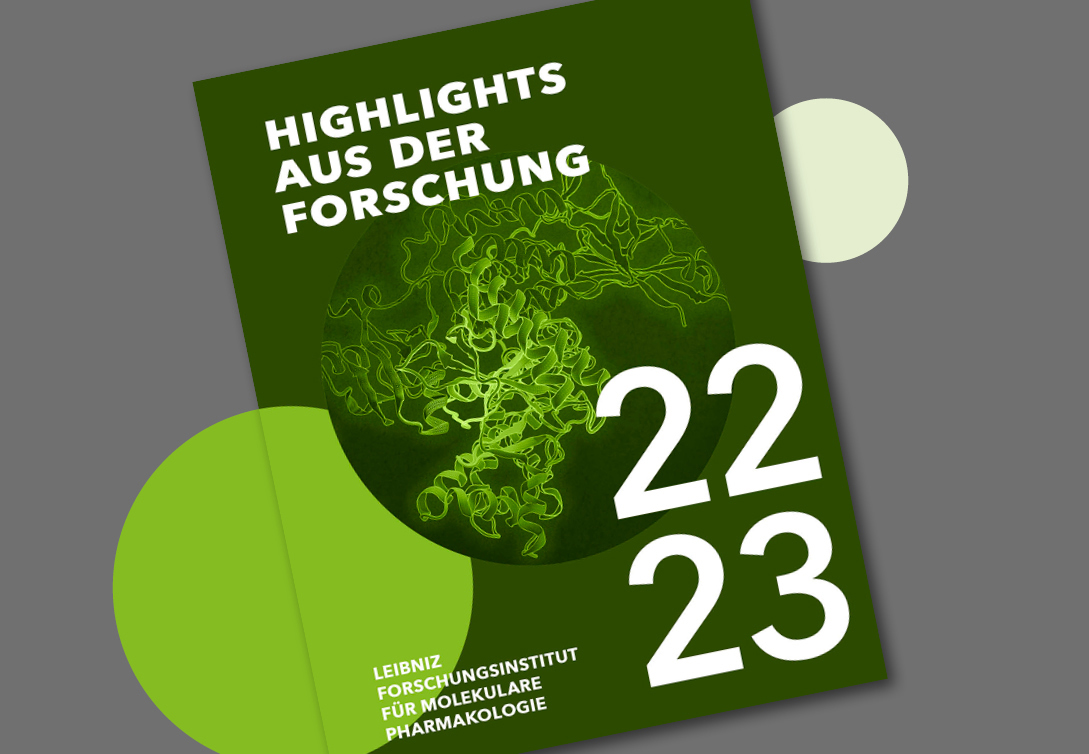 Discover our first “Research Highlights” issue, showcasing latest research projects and sustainability at FMP. Enjoy the journey and gain new insights! English version👇 leibniz-fmp.de/newsroom/media… #FMPResearch #Sustainability #Science