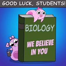 Wishing all the luck 🍀 to those sitting Biology exams today! You can do it! 🙌🙌🙌