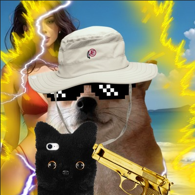 <a href="/mrpunkdoteth/">Mrpunk.eth</a> Dog > Cat

$selfie