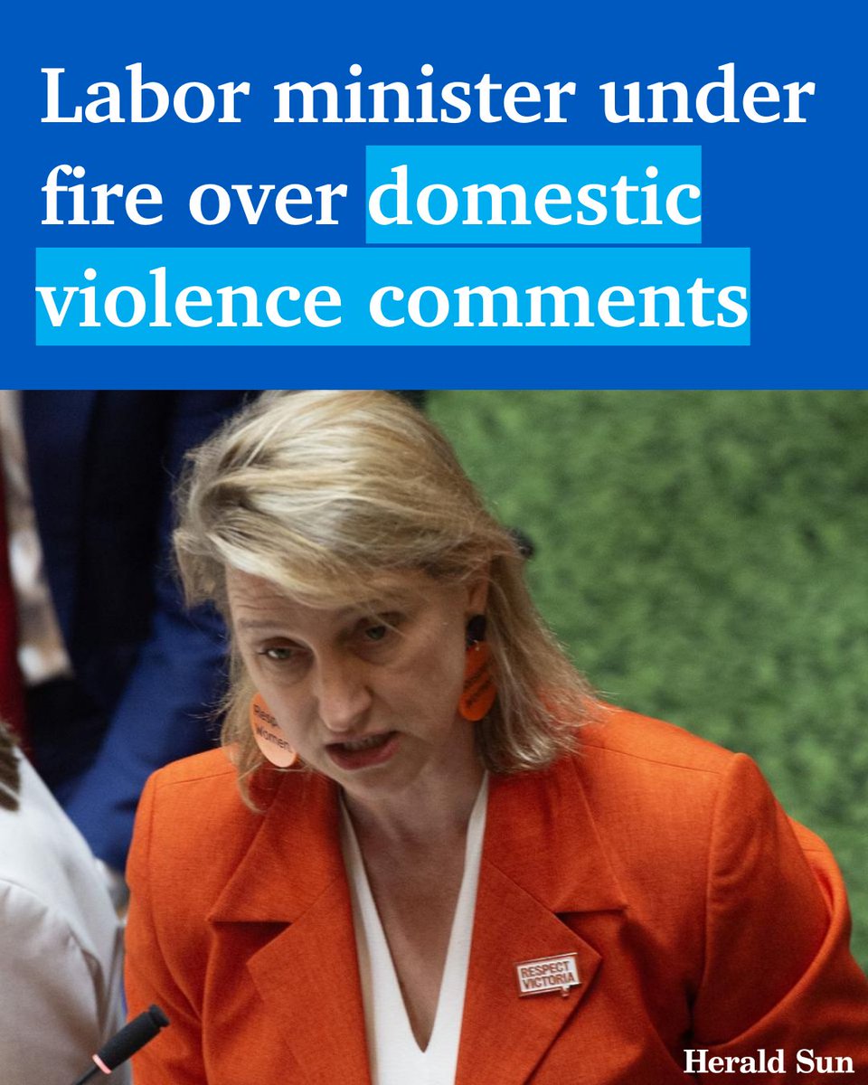 A victim-survivor MP has criticised Victoria’s Family Violence Prevention Minister for her “extraordinarily inflammatory” comments. > bit.ly/3wASd52