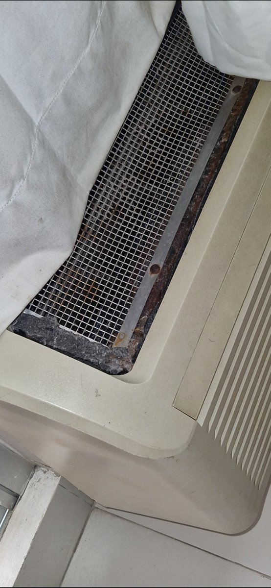 Brandy80 tweet media