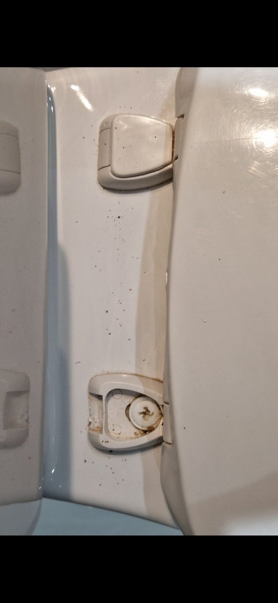 Brandy80 tweet media