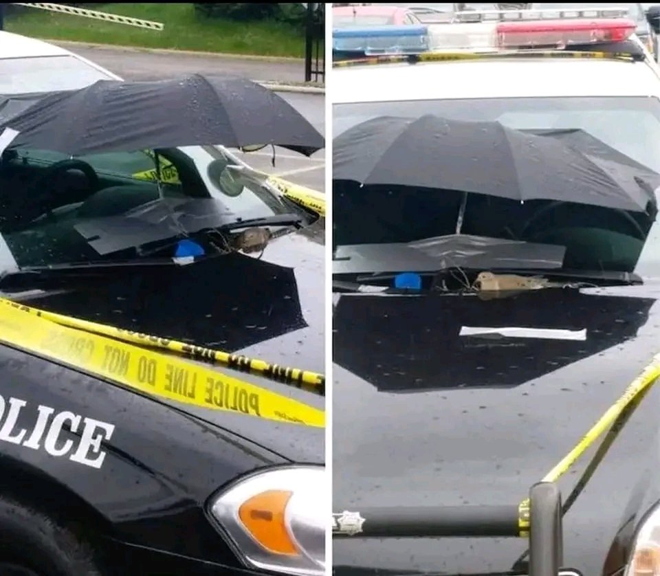 Police officers in Parma, Ohio, discovered an eastern mourning dove had turned one of their patrol cars into a nesting place. There were two eggs in the nest. Instead of getting irritated with what the bird has done on the police vehicle, the cops started doing things to make it
