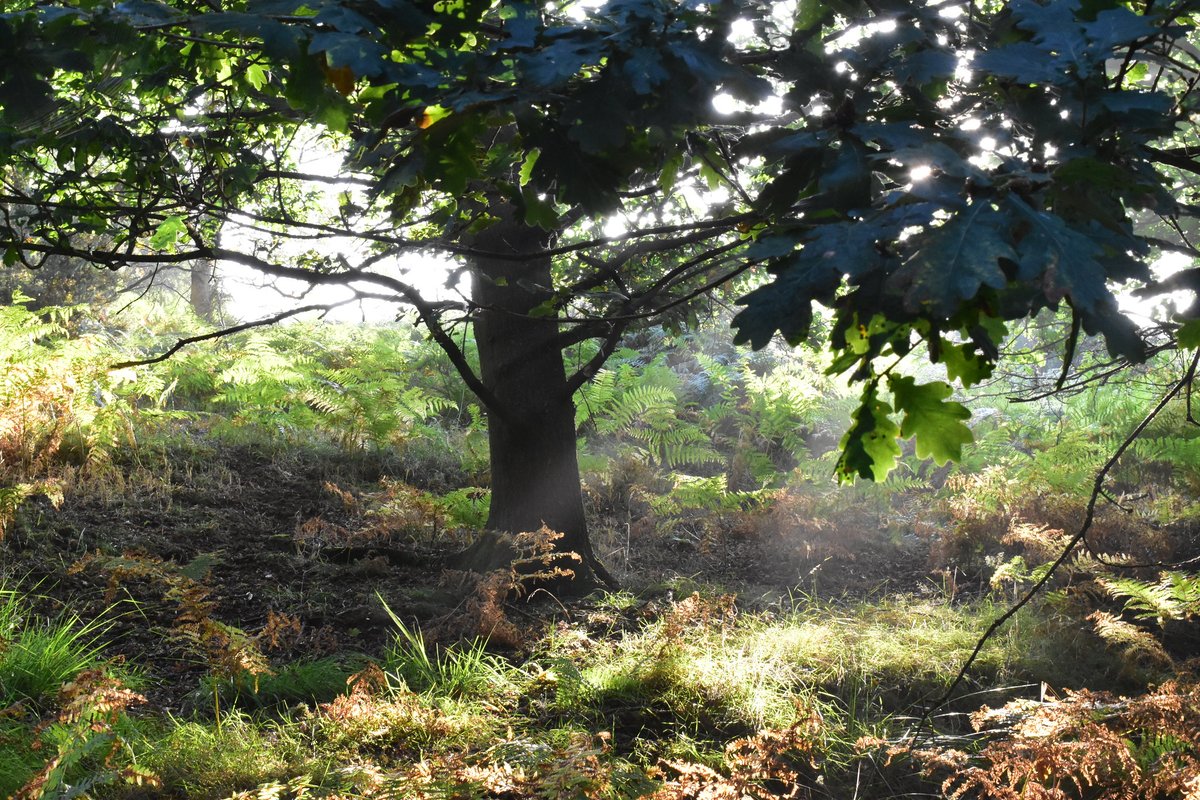 miner2major's tweet image. It's National Walking Month this May! 🚶♀️🚶♂️
Get inspired to put on your walking shoes with a brand new Rainworth Health walk - Jenny's story.
Browse our new Sherwood Voices brochure: bit.ly/3DkKdF
📷 Callis Hagg