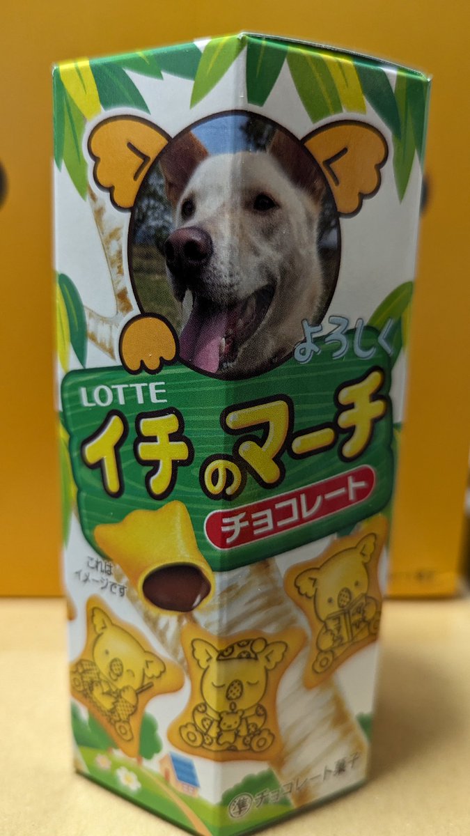 先日注文していた、イチのマーチが届きました！イチさんは食べられないけど💦
#犬好きさんとつながりたい 
#犬のいる暮らし
#犬のいる生活
#いぬすたぐらむ
#いぬのきもち 
#コアラのマーチ