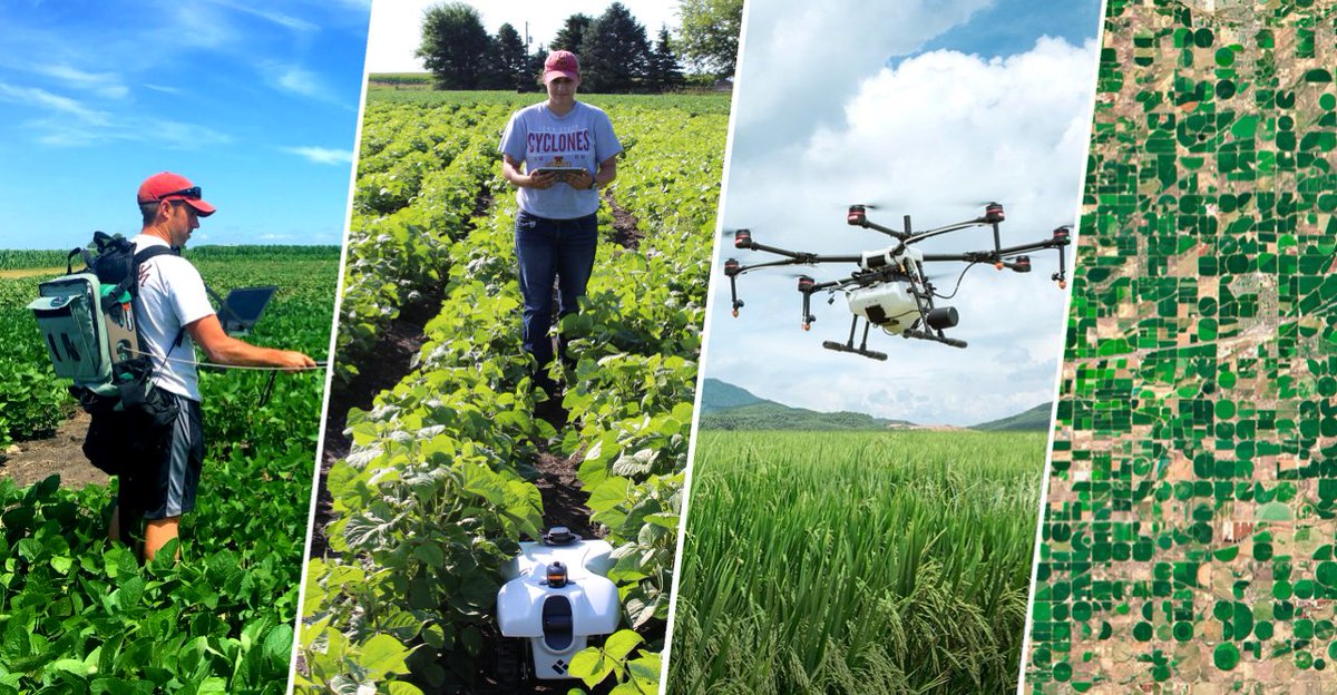 Hey guys, 

We will be hosting the Sixth Machine Learning for Cyber-Agricultural Systems (MLCAS) workshop on Monday October 7, 2024 as a pre-conference event of the 8th International Plant Phenotyping Symposium (IPPS8) in Lincoln, Nebraska. #AI 

Details: 2024.mlcas.site