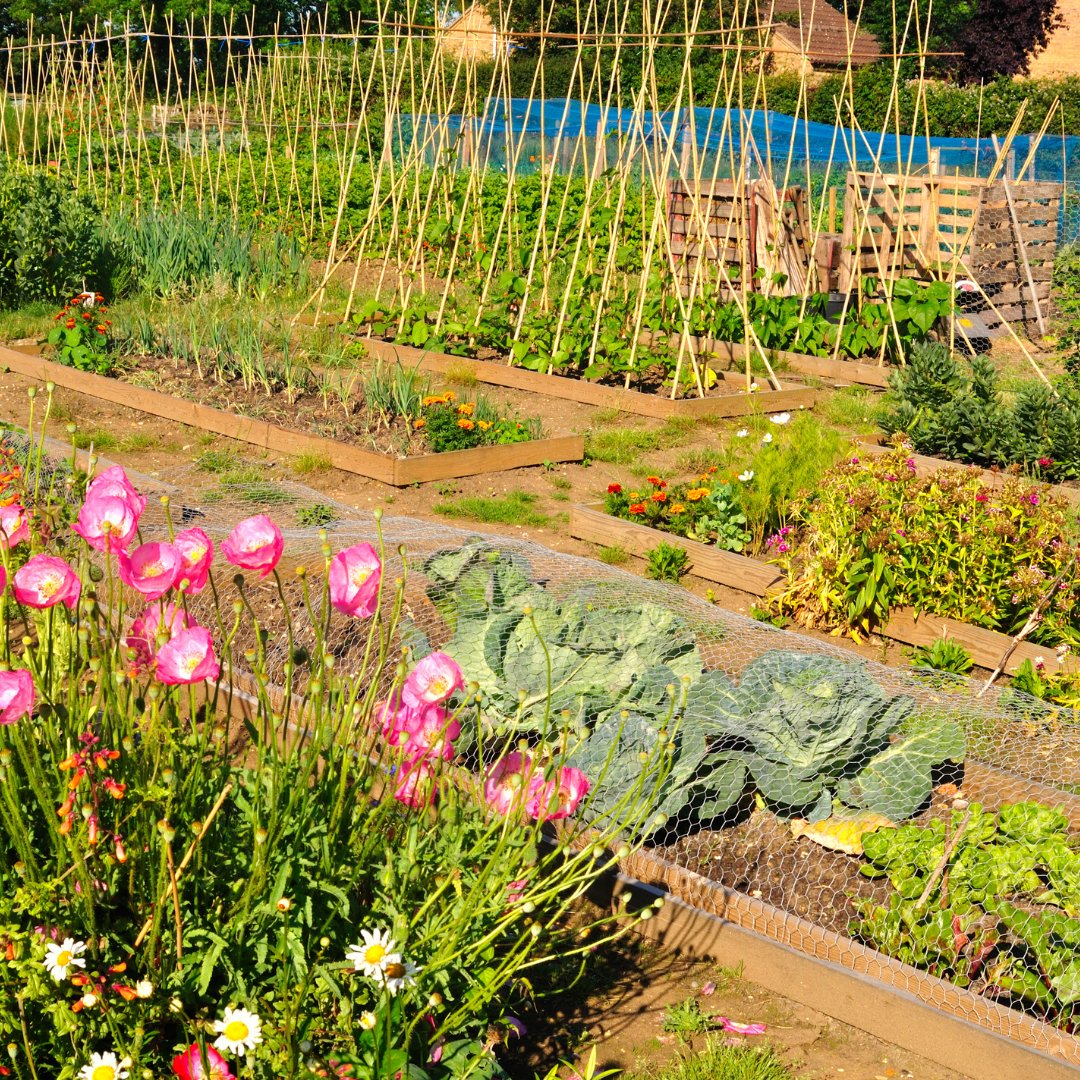 The Real Soil Company tweet media