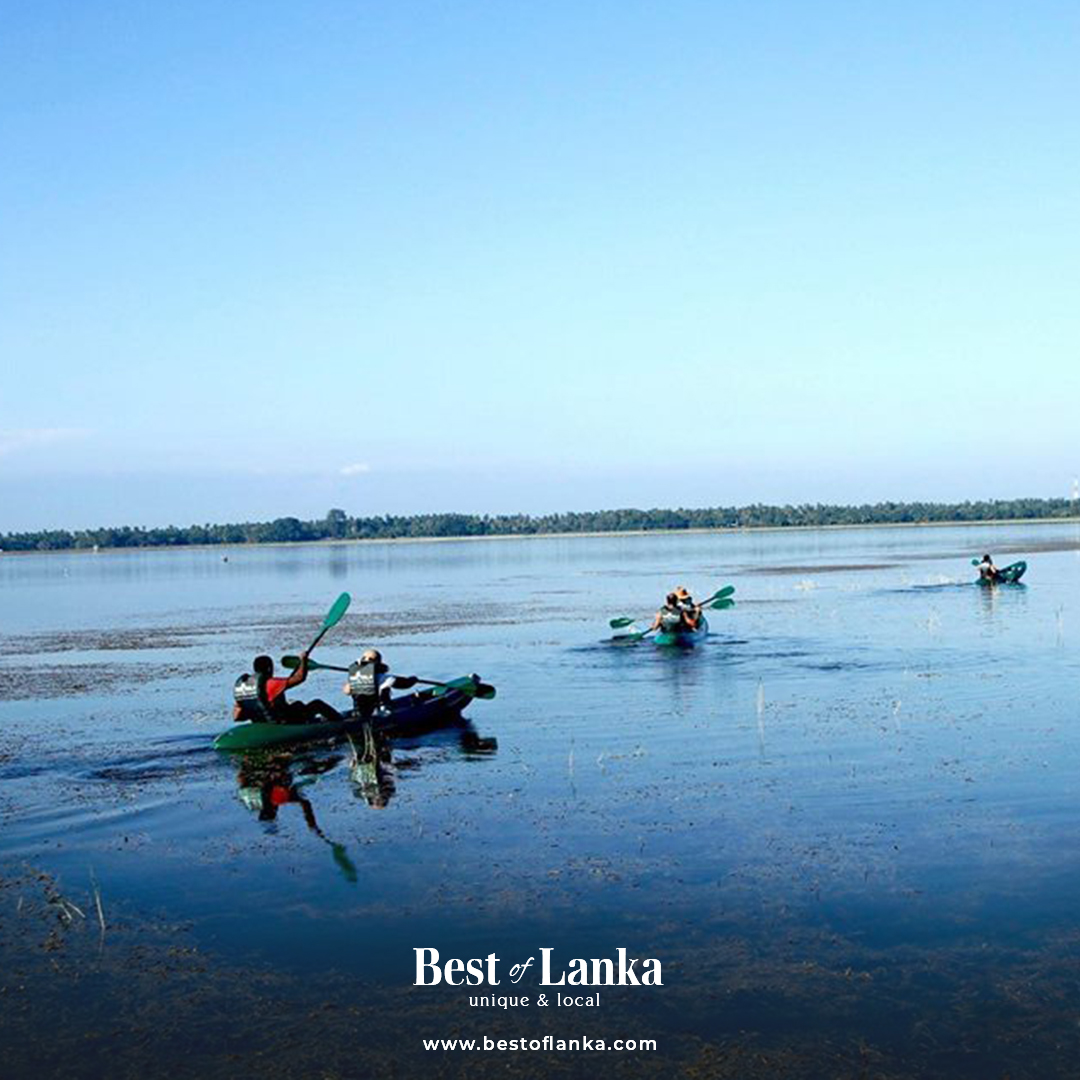 Canoeing in Tissamaharama #bestoflankatravels #bestoflanka #srilankanexpeditions #visitsrilanka #srilankatravel #destinationmanagementcompany #destinationmanagement #canoeing #canoeingadventures #canoeinginyala #canoeinginsrilanka #canoeingintissamaharama #canoeingtrip