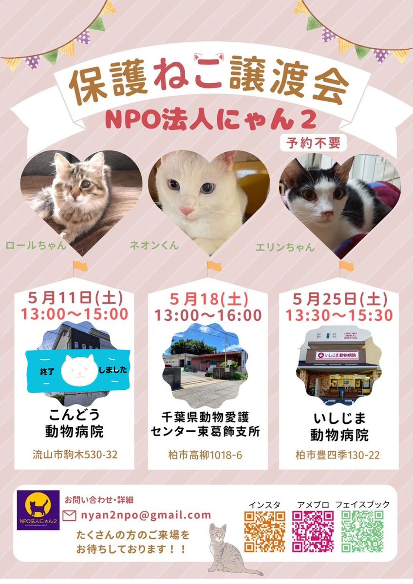 ／
保護猫譲渡会
＼
ペットショップからではなく保護猫を家族に迎え入たいとする人々に保護猫に出会う場に。
◎開催日 
2024/5/18（土）
◎時間 
13:00-16:00
◎会場
千葉県動物愛護センター東葛飾支所  
◎住所 
 柏市高柳1018-6
◎お問合せ先
nyan2npo@gmail.com
◎主催
NPO法人にゃん２