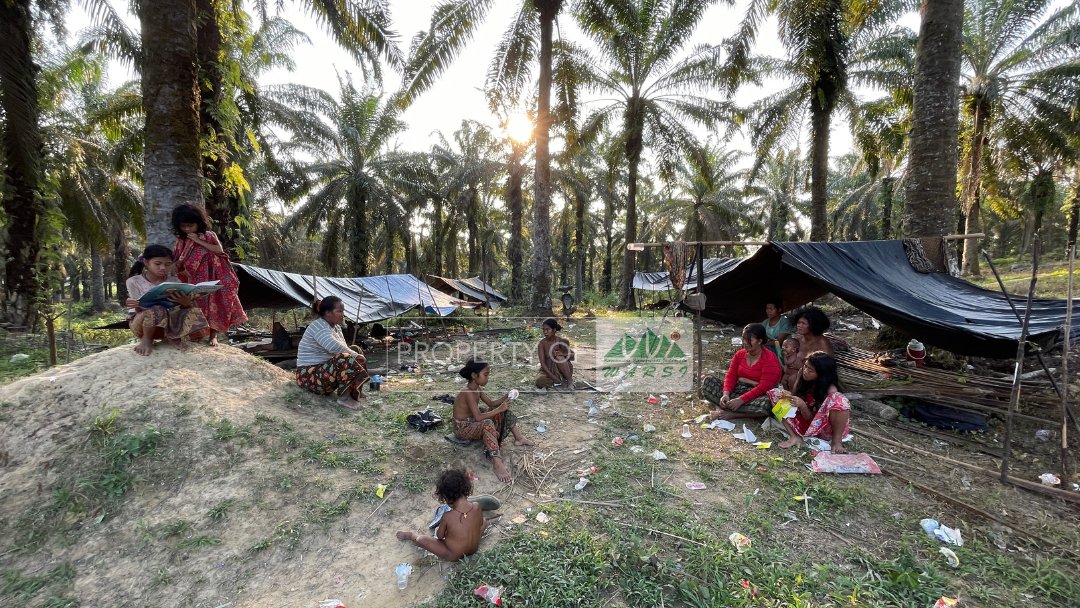 Melangun:
Berkelana menghilangkan duka

Ketika ada anggota keluarga yang meninggal, di momen itulah Orang Rimba sekeluarga melakukan melangun atau pindah rumah saat berduka.

Durasi melangun mulai dari 2 minggu sampai 1 tahun.
Apa yang membuat durasinya bisa begitu berbeda?