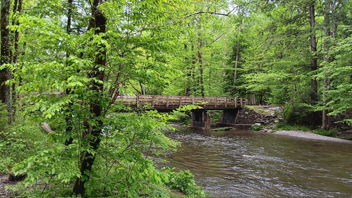 A bridge in Sevierville, TN.  

#GodMorningWednesday #dortmundthorror #dhfghouls #nature #naturelovers #photooftheday #picoftheday #outdoors #hiking #bridges #bridge #scenic #country #explore #exploremore #explorepage #outdoorliving #mountains #creek #Tennessee #fyp