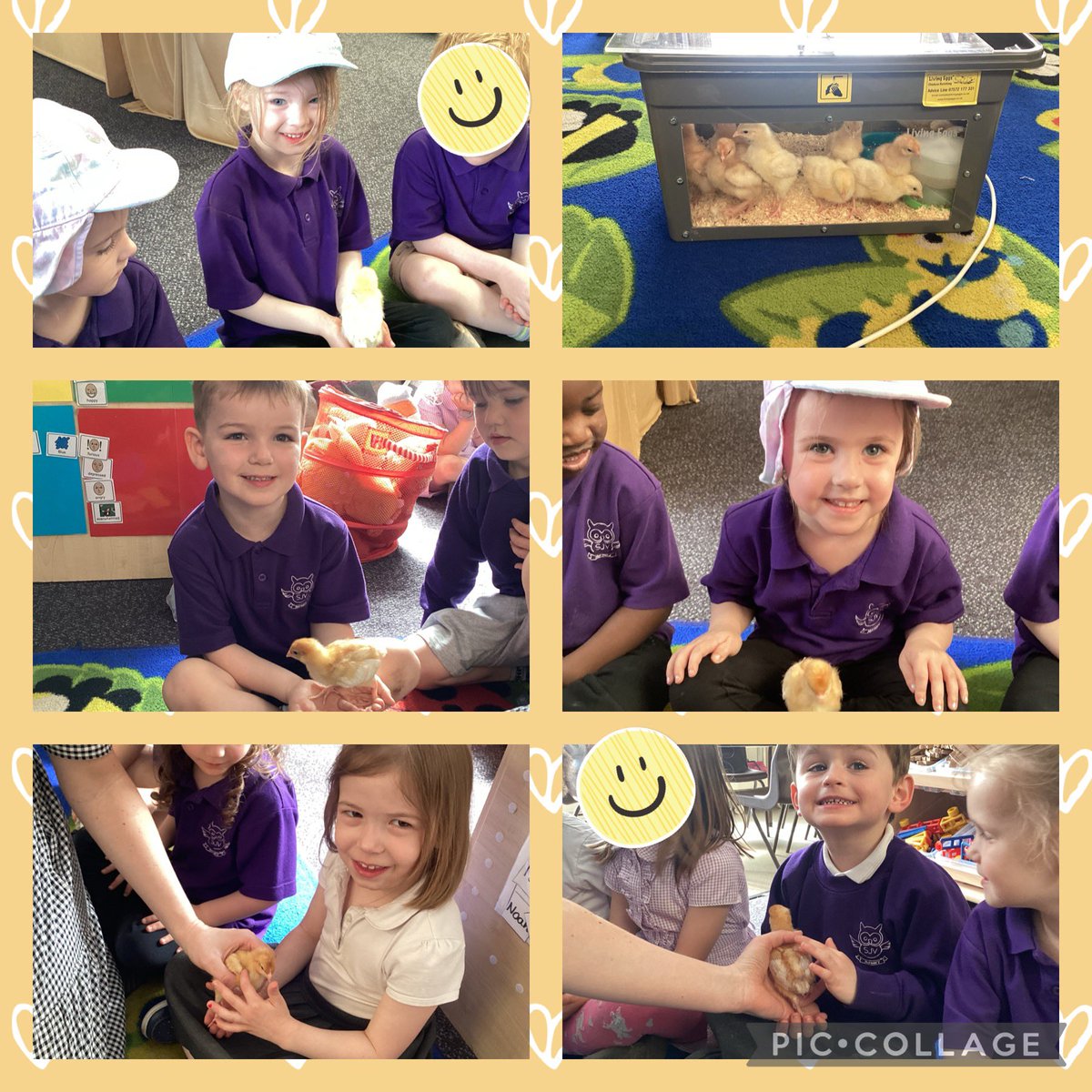 We have been learning about the life cycle of a frog and chick in Nursery! #SJVNursery #effectivelearning #lifecycles #earlyyears