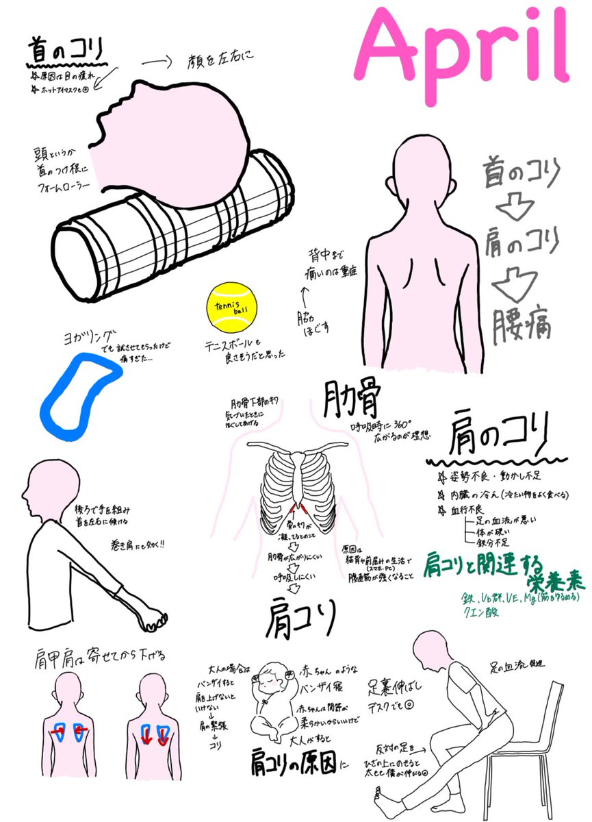 ピラティスで聞いたことをメモしていくことにした✍️４月は肩凝りを中心にアプローチしてもらった。