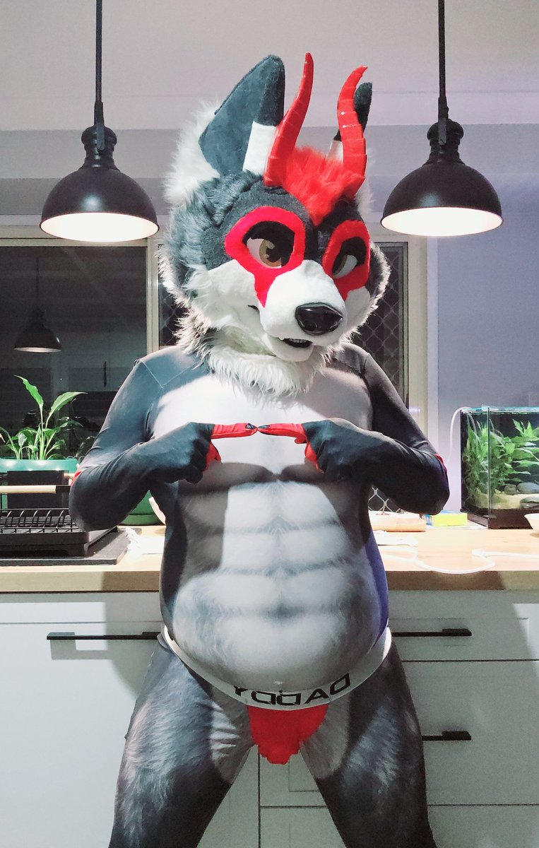 Zaroski Wolf 🔜 Furdu 2026 😘 tweet media