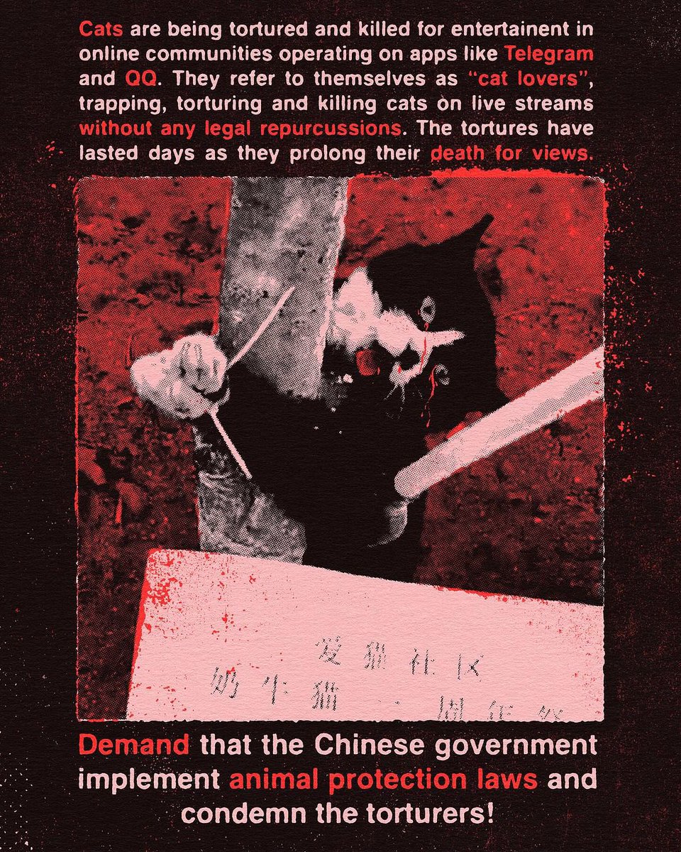 @Echinanews You don’t have a “righteous cause” - your nation is corrupt, depraved and infested with sadists. #AnimalCruelty #BoycottChina