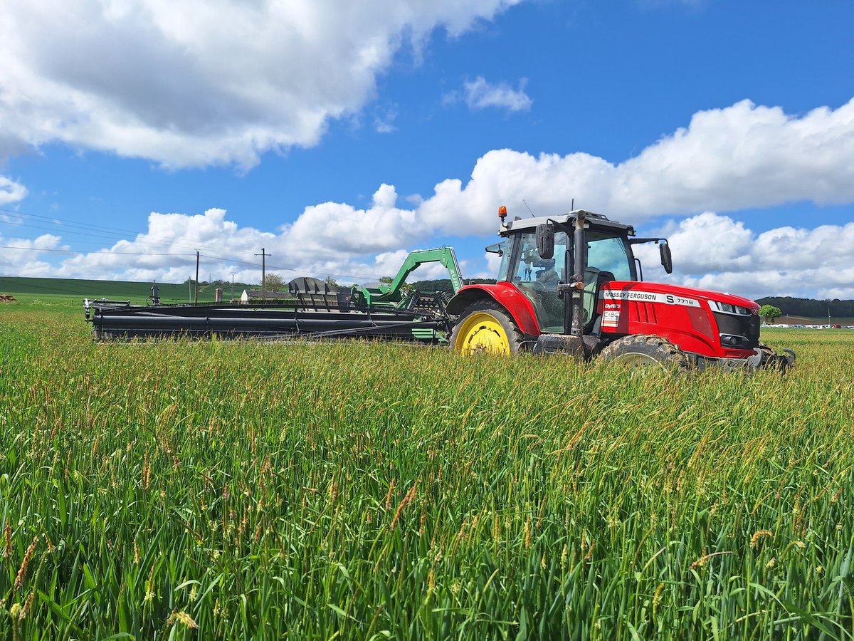 Journée de visite d'essais autour du désherbage chez <a href="/noriapcoop/">noriap</a>.
Qui parmi les <a href="/Fragritwittos/">FranceAgritwittos♥️</a> connaît cette machine ? 
#FrAgTw