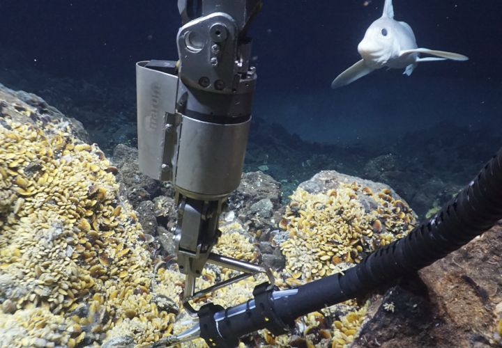 Aktivität in heißen Quellen der Tiefsee vor mehreren Milliarden Jahren: Eisen-Schwefel-Minerale zeugen vom frühesten Leben auf der Erde. So eine Studie der @uni_tue und @uniGoettingen: s.gwdg.de/AvVVin, DOI nature.com/articles/s4324… #Pyrit