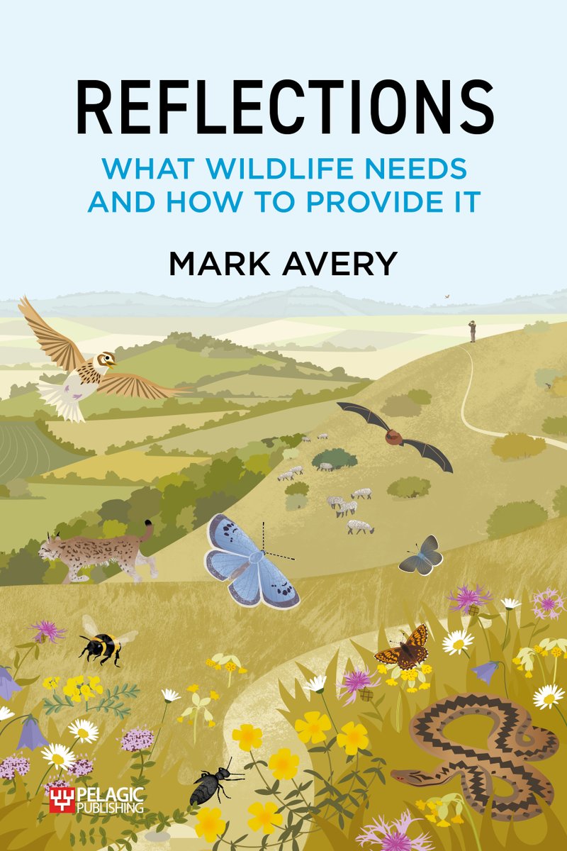 I'm pleased to have got, after a bit of a wait, these responses from @nationaltrust about whether a nature conservation investor should put money in their direction. markavery.info/2024/05/15/bei… I'll respond to their response in a few days - maybe Saturday - but what do you think?