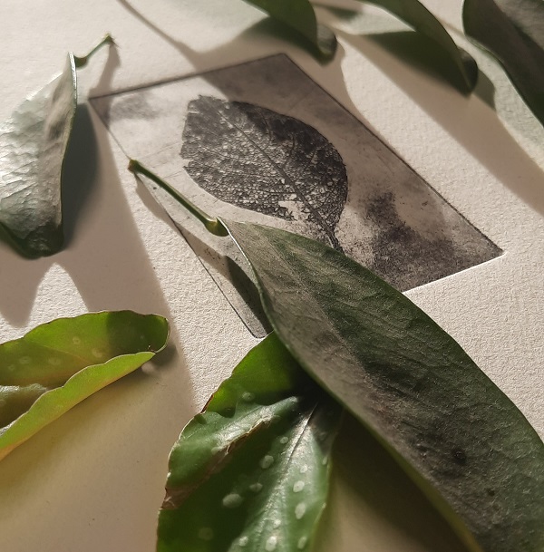 🌟 Archiving Botany Through Printmaking Weekend Course: 8-9 June Learn how to create stunning softground etchings based on your botanical findings. ow.ly/OUxL50Rygir #etching #softground #botany #unioncanal