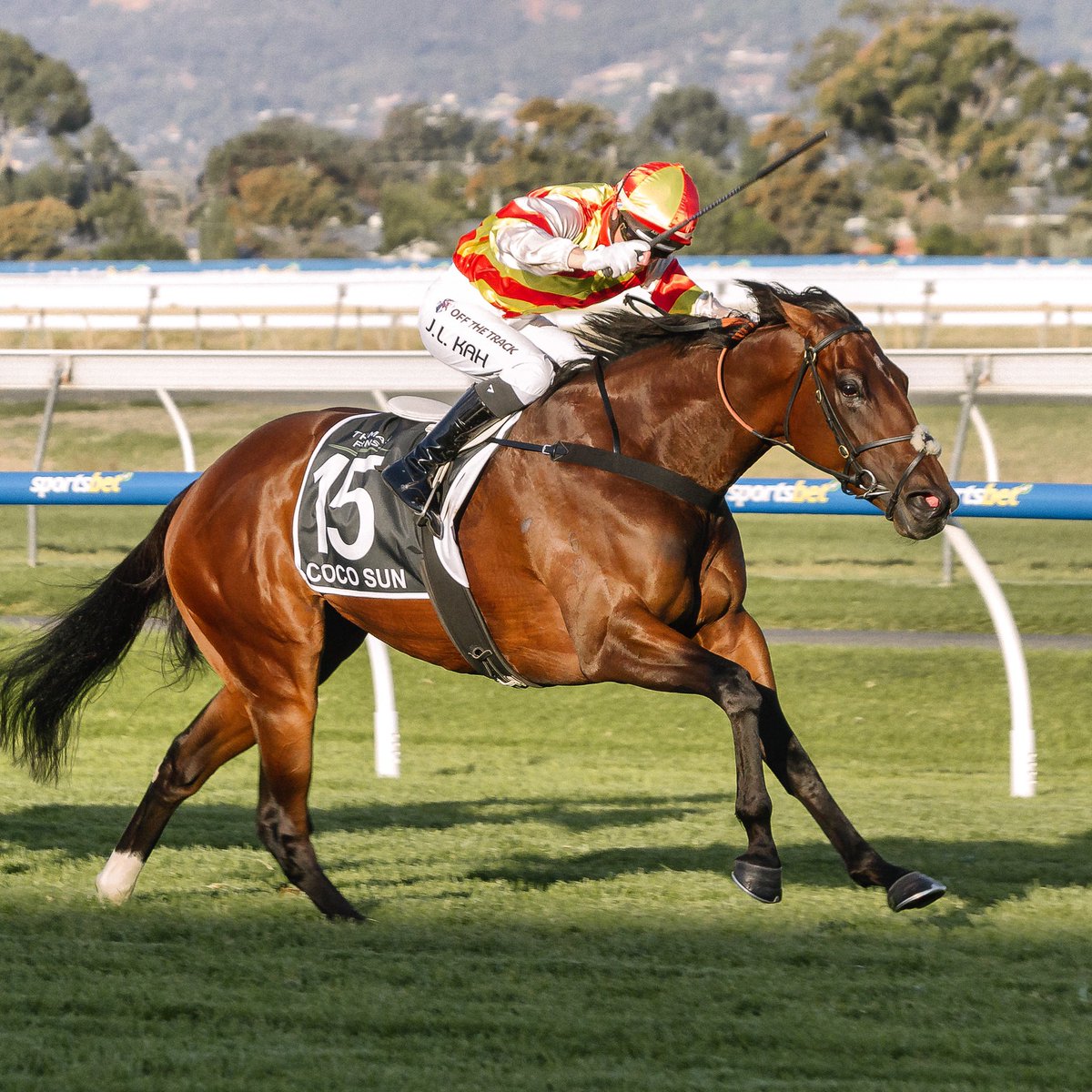 Five of our favourite Group One moments from the Adelaide Racing Carnival: 1. The South Australian Derby saw Jamie Kah claim her first Group One glory in her home state (pictured). 2. Coco Sun becoming just the third filly or mare to win the Group One South Australian Derby in