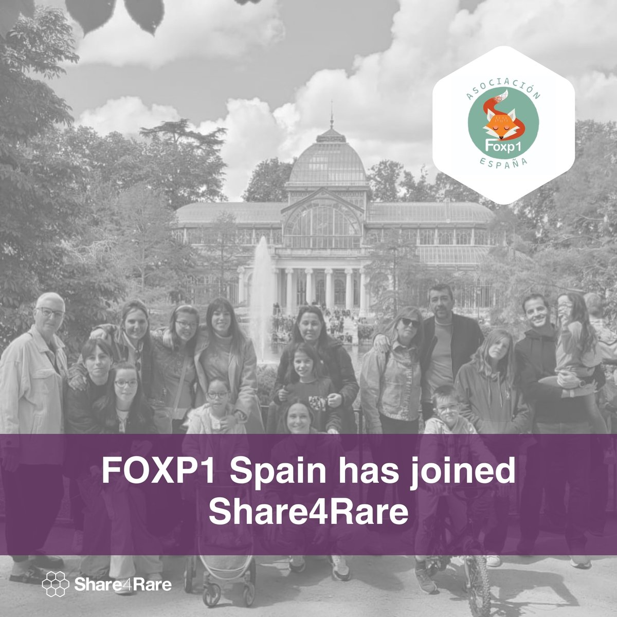 🎉 We are thrilled to welcome @asociacionfoxp1 to #Share4Rare! Joining forces is essential to support patients and families affected by #rarediseases

📣 Calling all patient organisations to join us on this journey too! Together we can make a difference ✍️ share4rare.org/join_as_patien…
