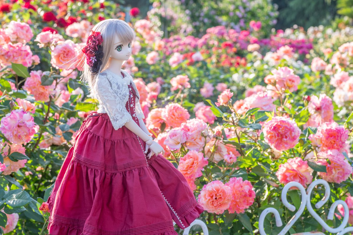 名古屋では薔薇🌹が綺麗な公園⛲に連れていってもらって、ドールオーナーではないんですが、千颯推し(？)の別アカのFFさんと千颯の可愛さを追求してきました😉 千颯の新たな可愛さを見つけて可愛い可愛いしてました😆💕 他の方の提案は参考になります😌