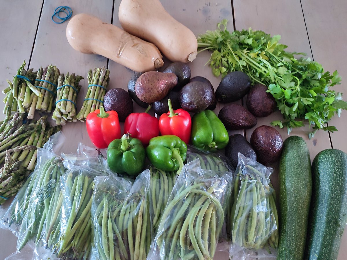 Een volle tas groente  🥑🫑🥔🌿🎃 voor €7,  bijna #plasticfree van de #Haagsemarkt. @Krommunity #nowaste