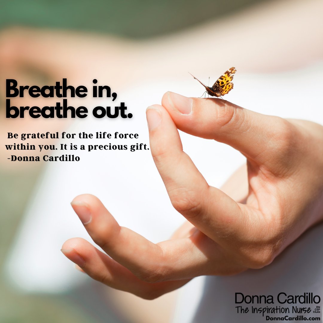 Breathe in, breathe out. Be grateful for the life force within you. It is a precious gift. -Donna Cardillo #gratitude #life