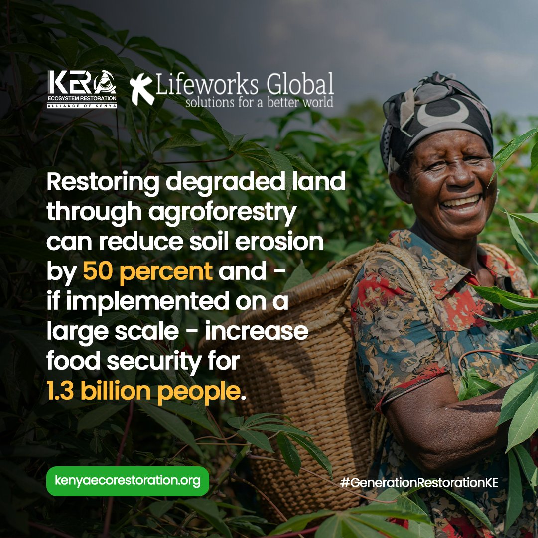 Embracing regerative agriculture for a sustainable future! KERA and Lifeworks Global advocate for Organic Farming and Agroforestry to restore degraded lands, reduce soil erosion by 50% and enhance food security for people. 

#RegenerativeAgriculture
#GenerationeRestorationKE