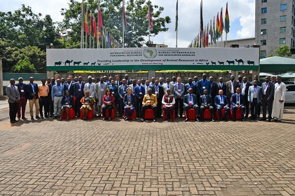 The 16th Pan African Chief Veterinary Officers/WOAH Delegates meeting is currently on at @au_ibar. 

The meeting will revise, consolidate & adopt draft African common positions for the 91st General Session of @WOAH 
@AnimalHealth

👉More: shorturl.at/fDKY9
