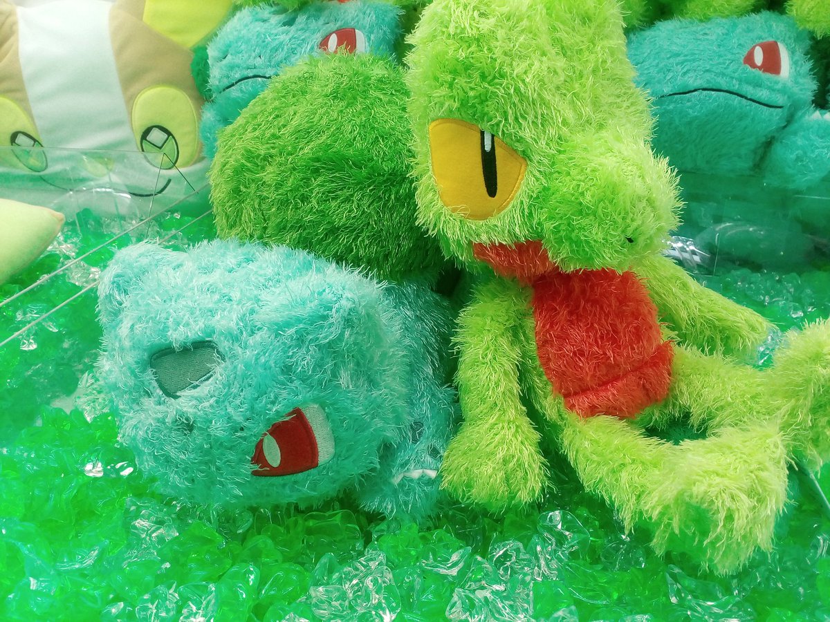 Taeさん専用　フシギダネ、キモリ 🆕景品情報📣】 ポケットモンスターめちゃもふぐっとタイムぬいぐるみ