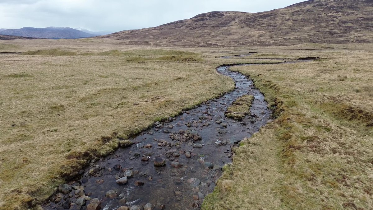 @DrFionaClubb and I have a funded summer research experience placement for a current undergraduate student (at a UK institution) being advertised: iapetus2.ac.uk/wp-content/upl… Deadline 31st May. Would suit a student interested in geomorphology/remote sensing/fieldwork/...and midges
