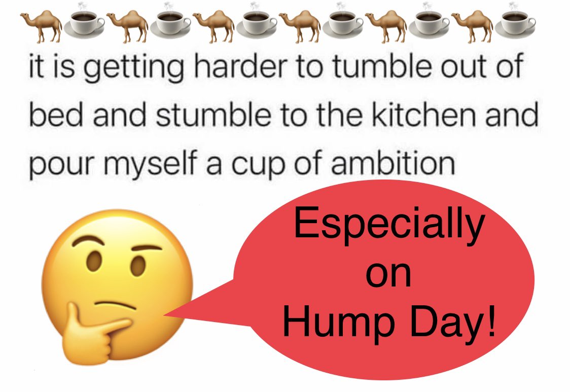 G’Morning! Y’all know what day it is!😉😂😂🫂🫂😘😘🥰🐪❤️