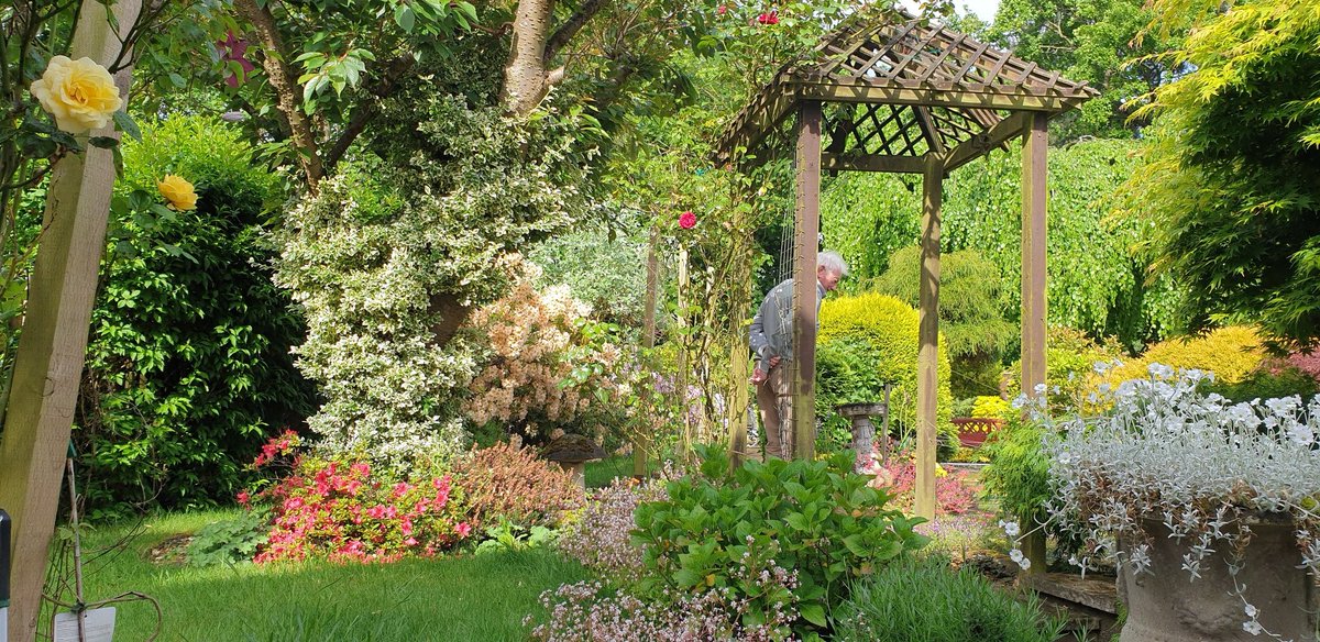 chrisjay tweet media