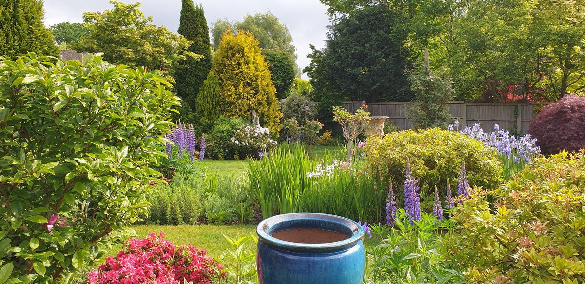 chrisjay tweet media