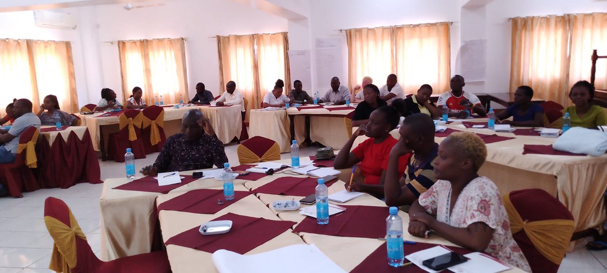 Michelle Ell tweet media