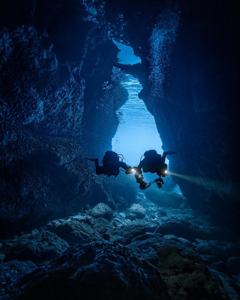 Make special underwater memories 💙🩵 [ 📸 @belowsealevel.mt @theunderwaterpanda @katyastivala ] #VisitMalta #ExploreMore #MoreToExplore