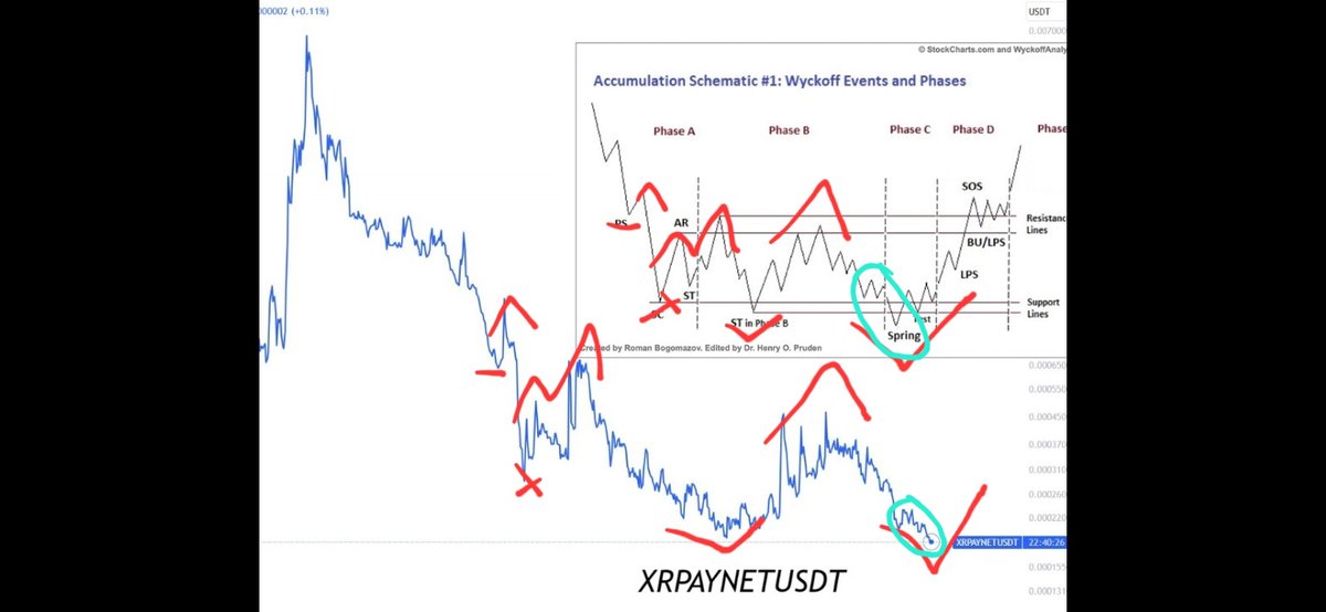 #xrpaynet