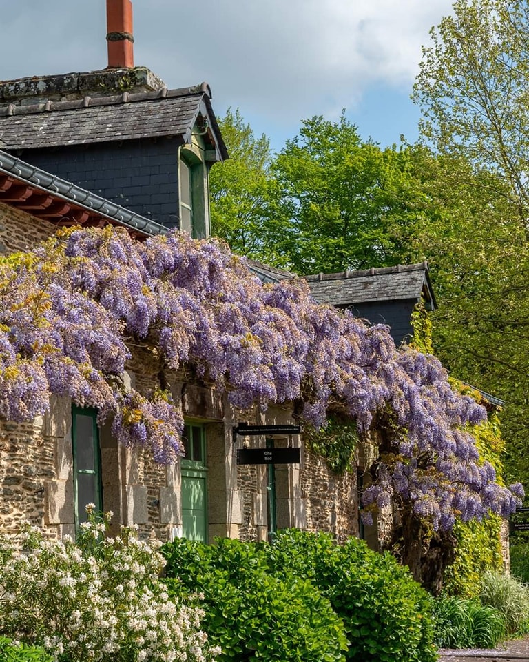 Passion glycine  💜🤩

📍 Maison éclusière de Josselin
📷 @myriambphotography sur insta

#morbihan #morbihantourisme #miamorbihan #bretagne #bretagnetourisme #bretagnesud #fleurs #glycine #printemps #ecluse #canaldenantesabrest #josselin