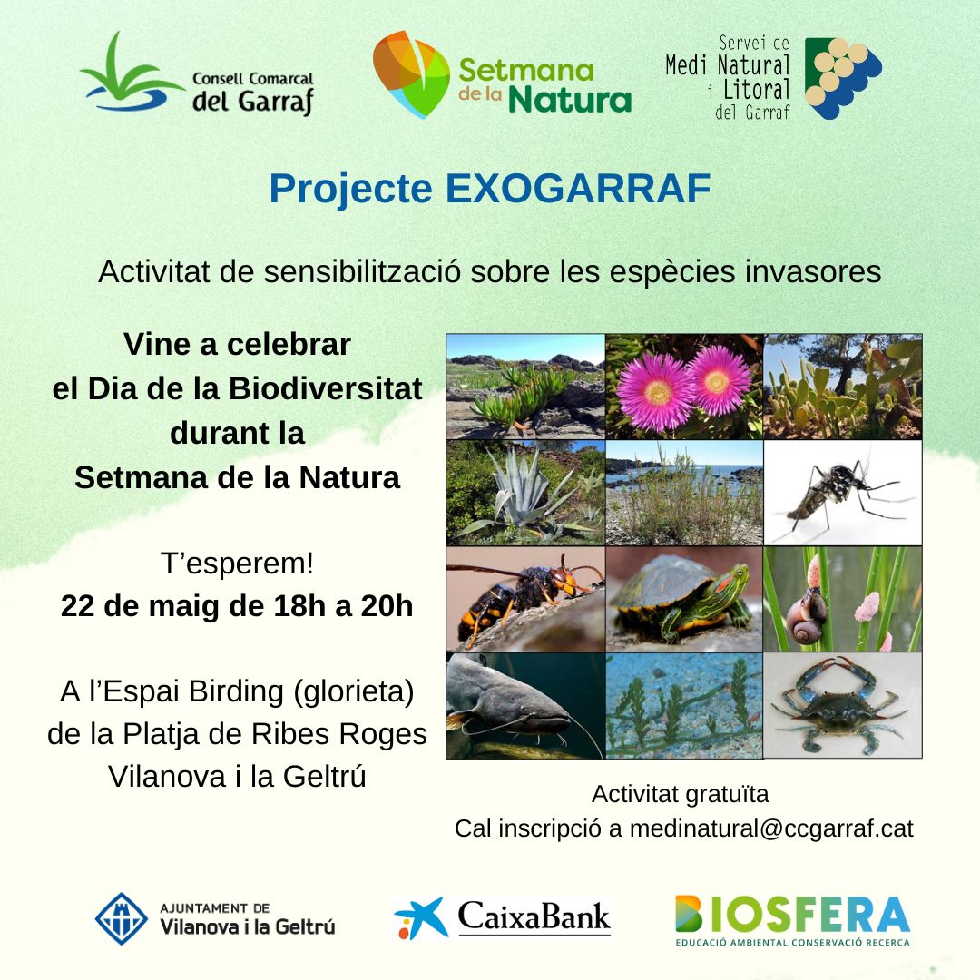 🌿Commemorem la Setmana de la Natura, amb activitats als 6 municipis del #Garraf #SetmanaNatura #ConnectemLaNatura ℹ️ ccgarraf.cat/actualitat/not…